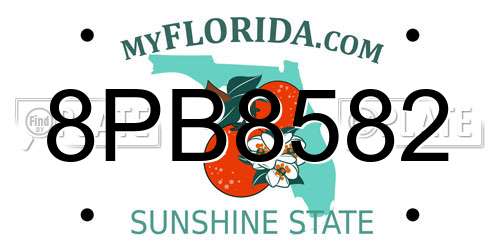 8PB8582 Florida License Plate