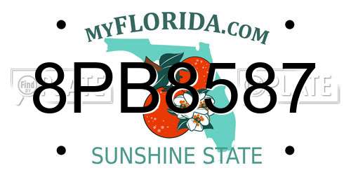8PB8587 Florida License Plate