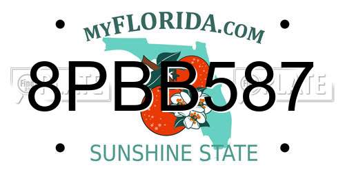 8PBB587 Florida License Plate