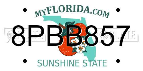 8PBB857 Florida License Plate