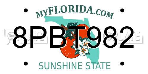 8PBT982 Florida License Plate