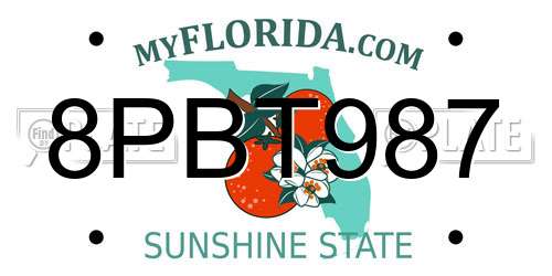 8PBT987 Florida License Plate