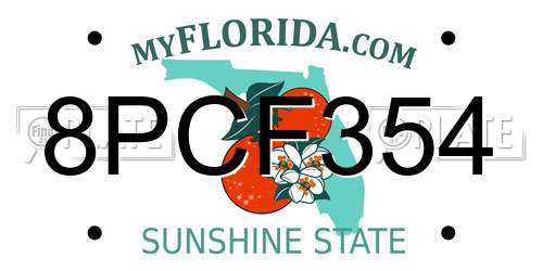 8PCF354 Florida License Plate