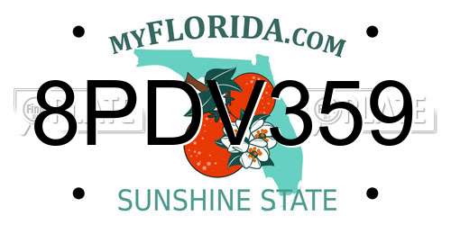 8PDV359 Florida License Plate