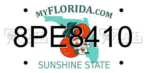 8PE8410 Florida License Plate