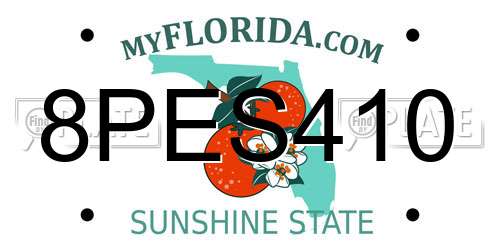 8PES410 Florida License Plate