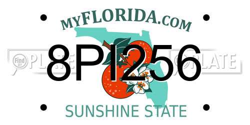 8PI256 Florida License Plate