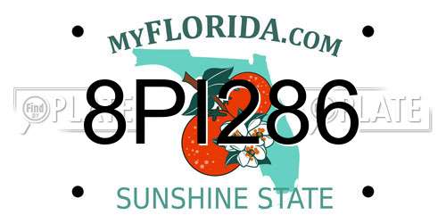 8PI286 Florida License Plate