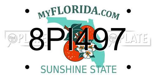 8PI497 Florida License Plate
