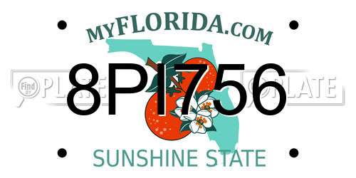 8PI756 Florida License Plate