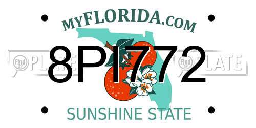 8PI772 Florida License Plate