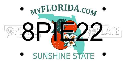 8PIE22 Florida License Plate
