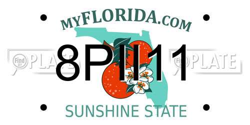 8PII11 Florida License Plate