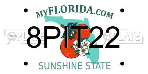 8PIT22 Florida License Plate