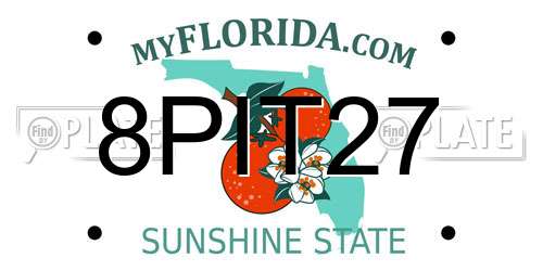 8PIT27 Florida License Plate