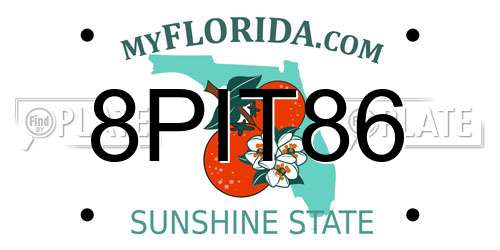 8PIT86 Florida License Plate