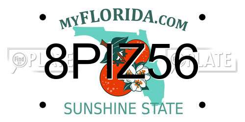 8PIZ56 Florida License Plate