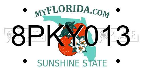 8PKY013 Florida License Plate