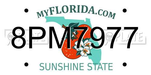 8PM7977 Florida License Plate