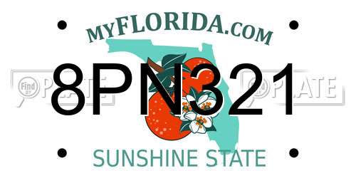 8PN321 Florida License Plate