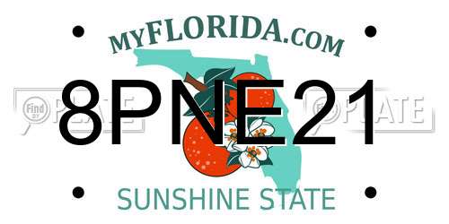 8PNE21 Florida License Plate