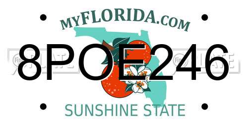 8POE246 Florida License Plate
