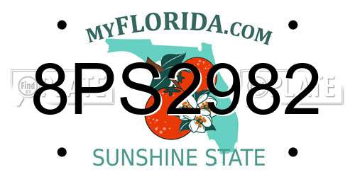 8PS2982 Florida License Plate