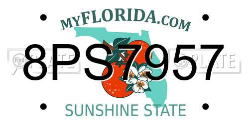 8PS7957 Florida License Plate