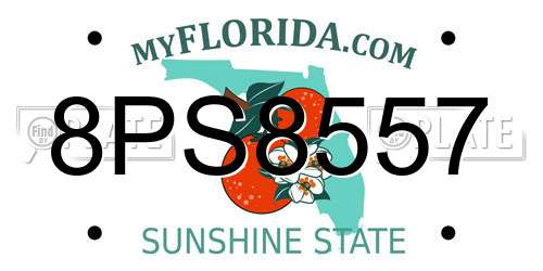 8PS8557 Florida License Plate