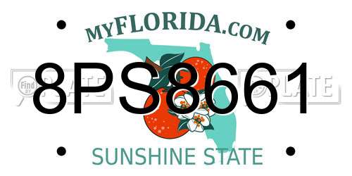 8PS8661 Florida License Plate