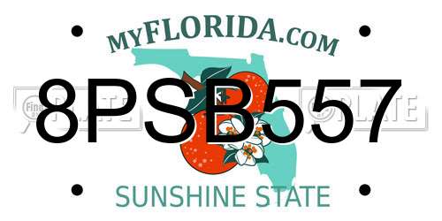 8PSB557 Florida License Plate