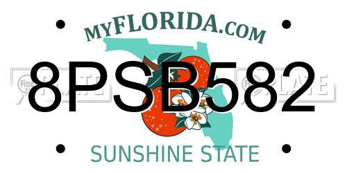 8PSB582 Florida License Plate