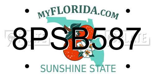 8PSB587 Florida License Plate