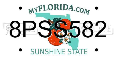 8PSS582 Florida License Plate