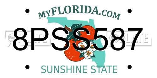 8PSS587 Florida License Plate