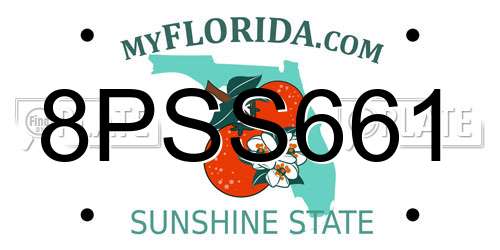 8PSS661 Florida License Plate