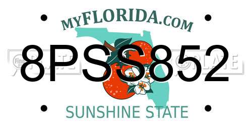 8PSS852 Florida License Plate