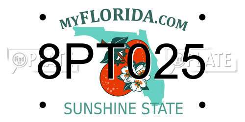 8PT025 Florida License Plate
