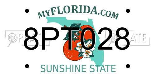 8PT028 Florida License Plate