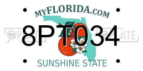 8PT034 Florida License Plate