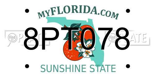 8PT078 Florida License Plate