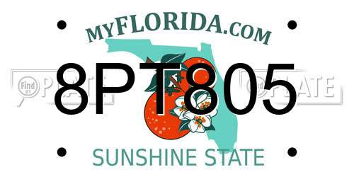 8PT805 Florida License Plate