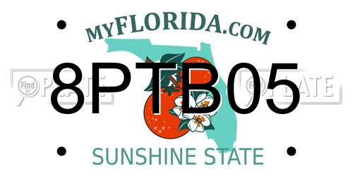 8PTB05 Florida License Plate
