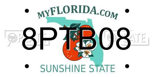 8PTB08 Florida License Plate