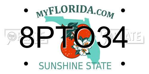8PTO34 Florida License Plate