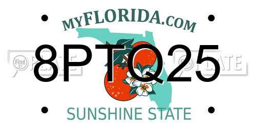 8PTQ25 Florida License Plate