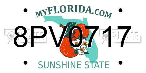 8PV0717 Florida License Plate