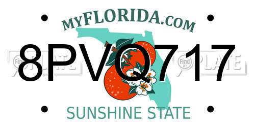 8PVQ717 Florida License Plate