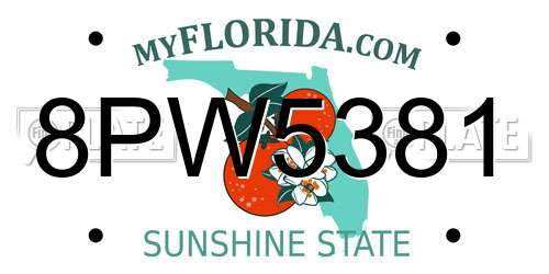 8PW5381 Florida License Plate