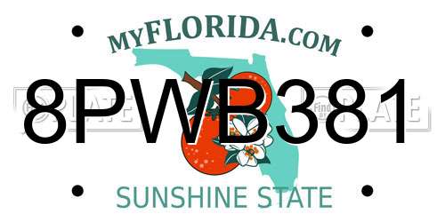 8PWB381 Florida License Plate